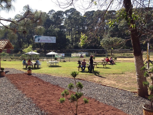 Disfruta de nuestras instalaciones al aire libre